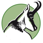 ggjt-logo-solo-256 ggjt-logo-solo-256